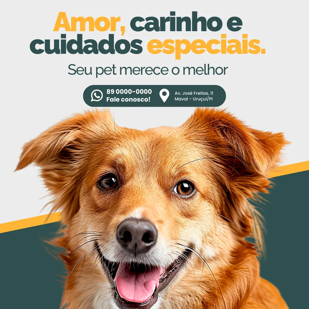 Amor, carinho e cuidados especiais.