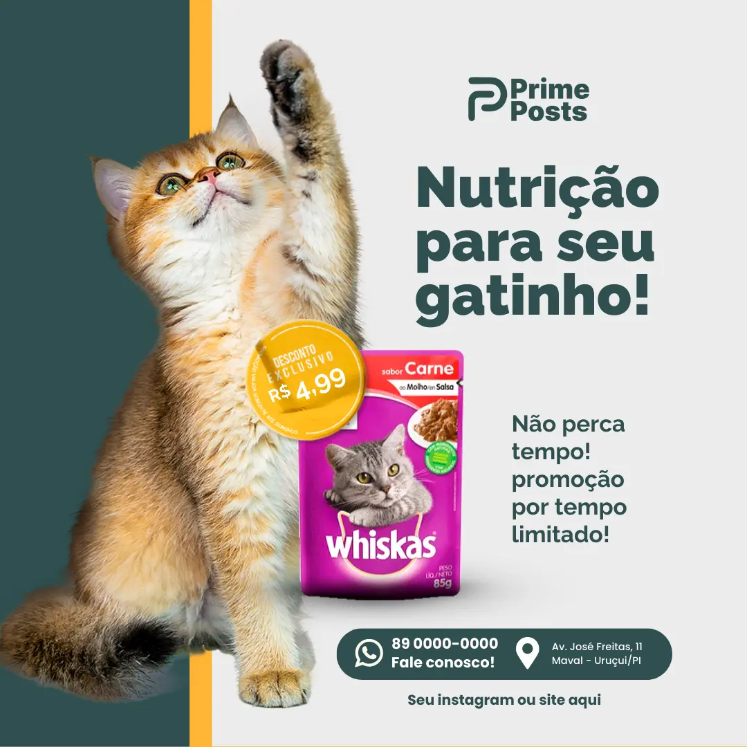 Nutrição para seu gatinho!