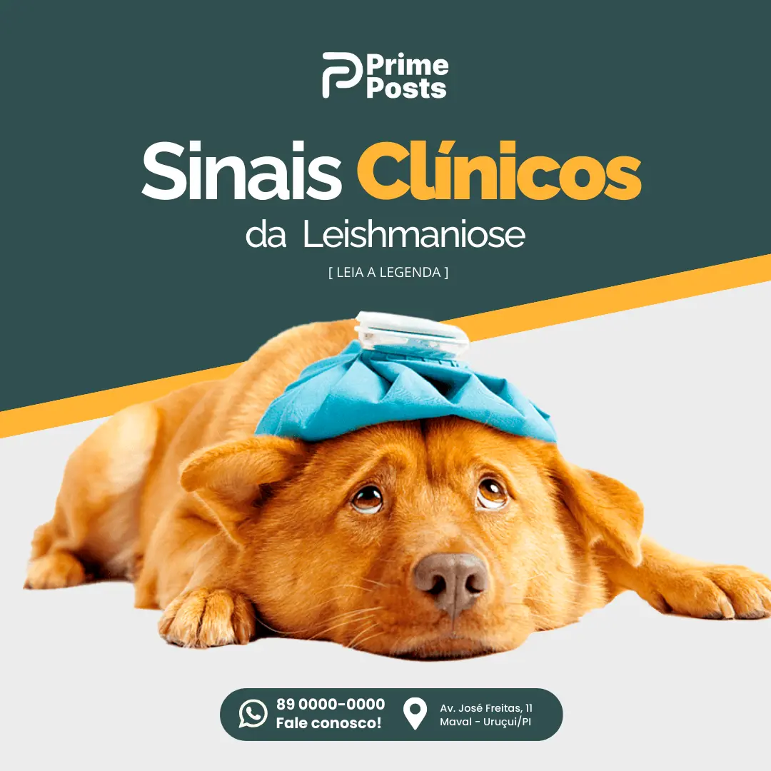 Sinais Clínicos da Leishmaniose