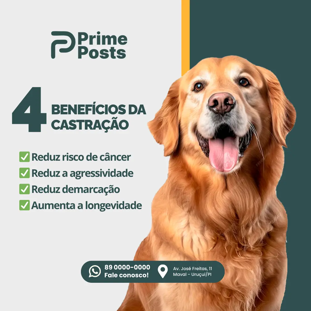 4 benefícios da castração