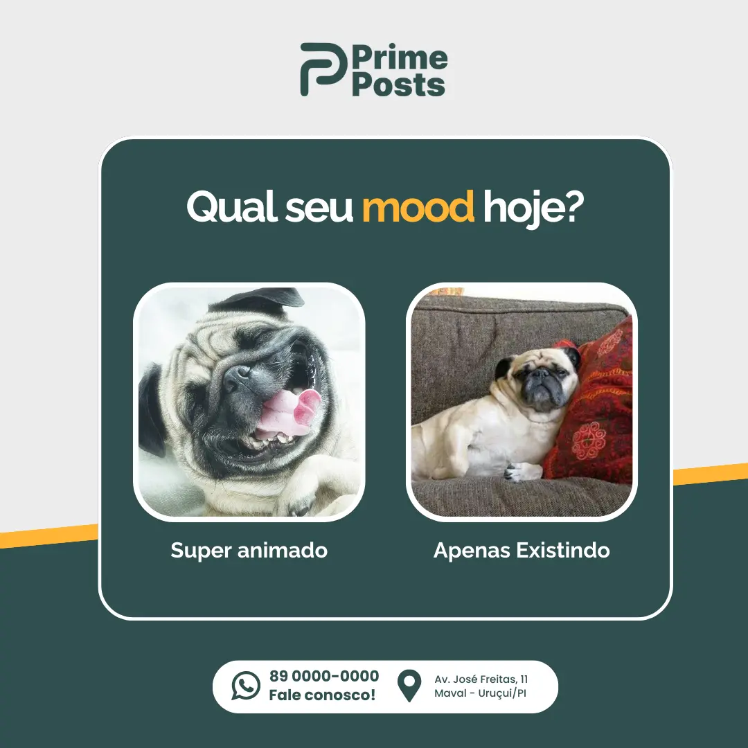 Qual seu mood hoje?