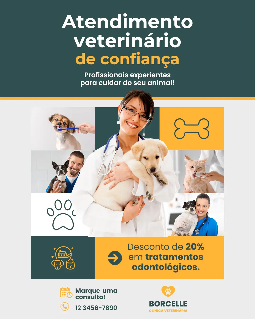 Atendimento veterinário de confiança