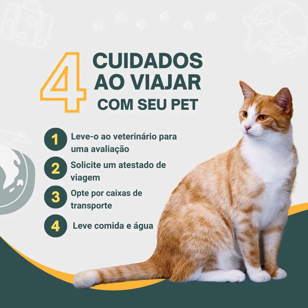 4 Cuidados ao viajar com seu pet