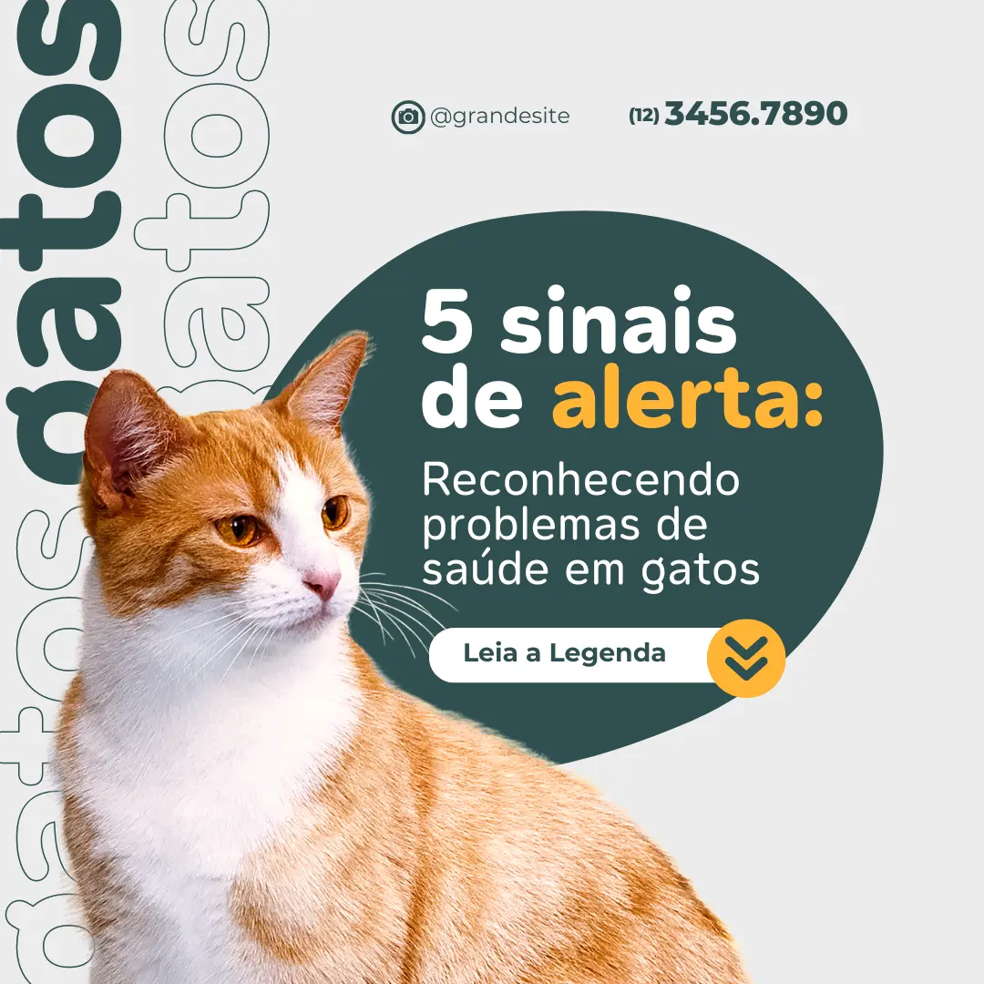 5 sinais de alerta: saúde em gatos