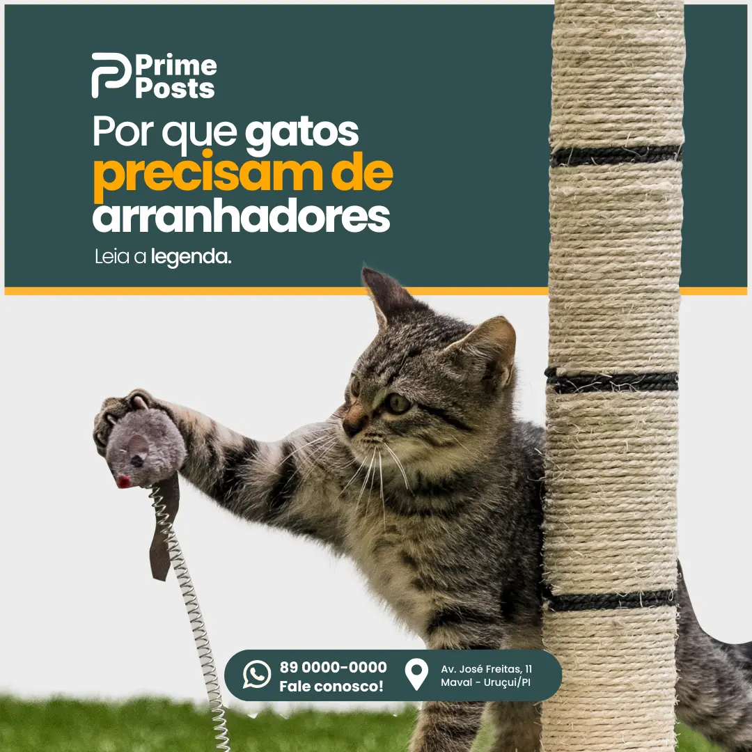 Por que gatos precisam de arranhadores?