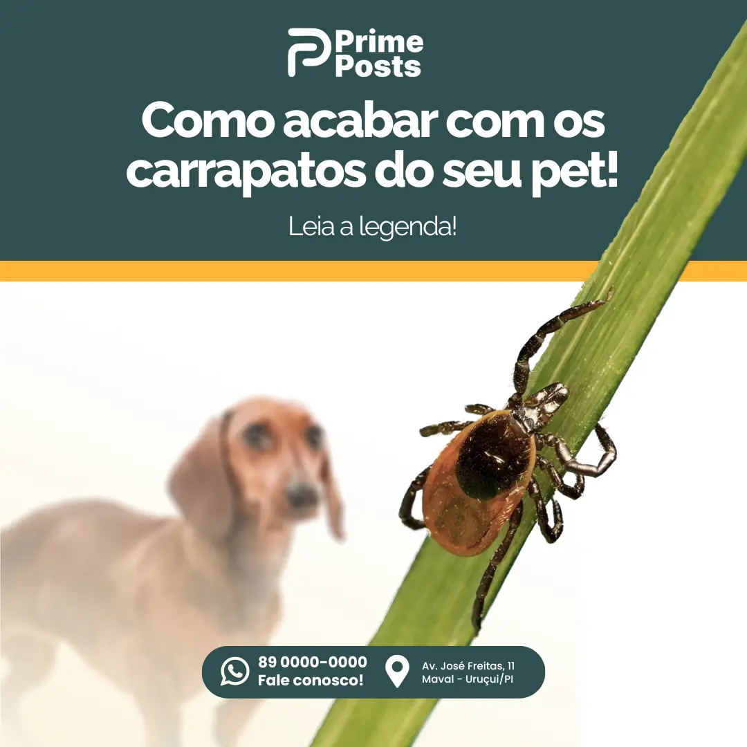 Como acabar com os carrapatos do seu pet