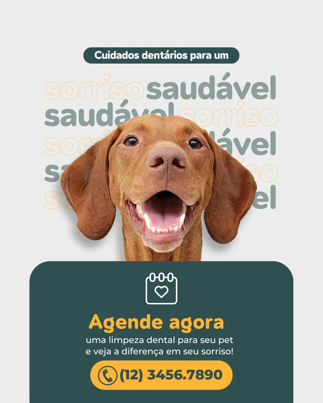 Cuidados dentários para um sorriso saudável