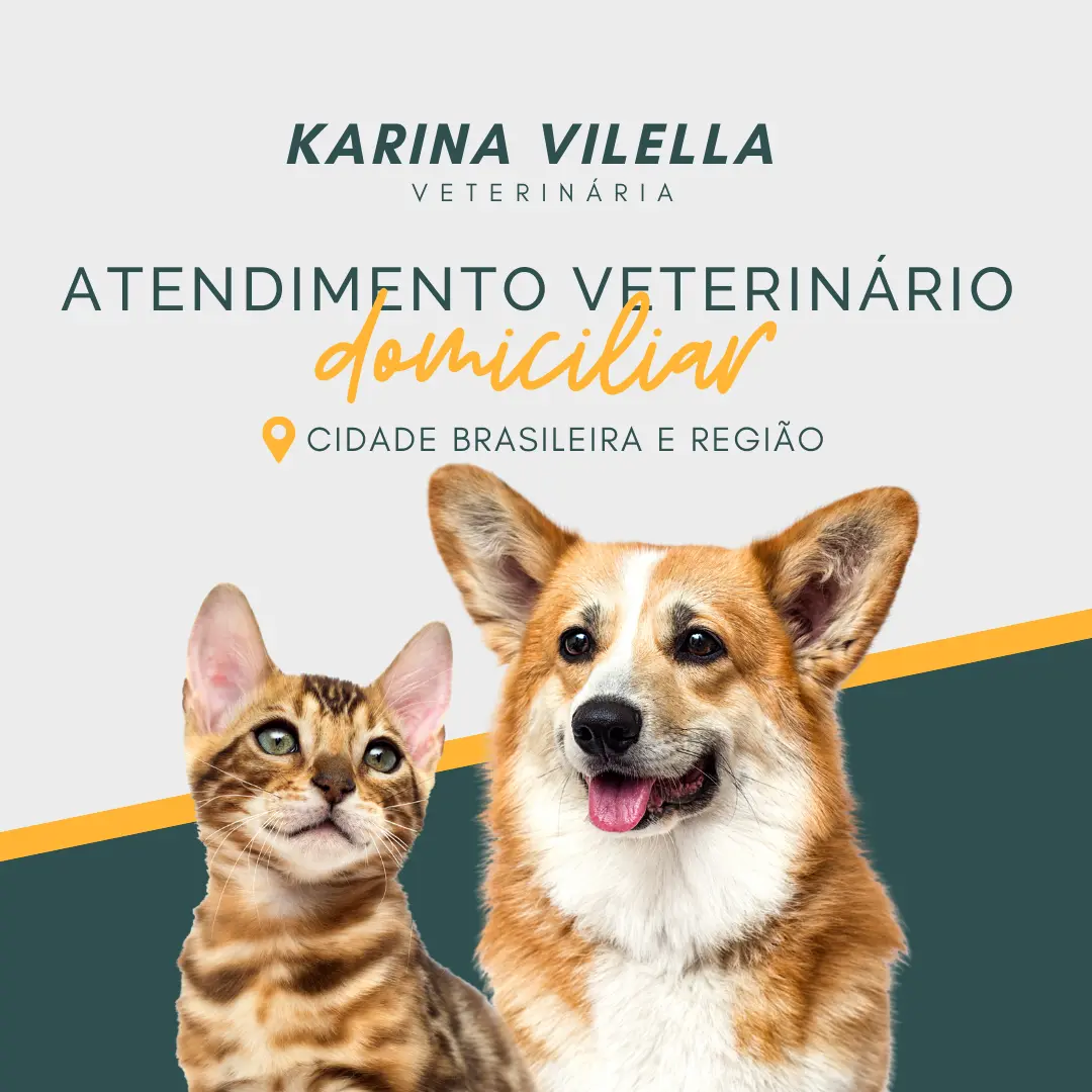 Atendimento veterinário domiciliar