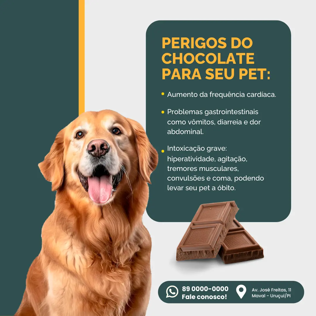 Perigos do Chocolate para o seu pet