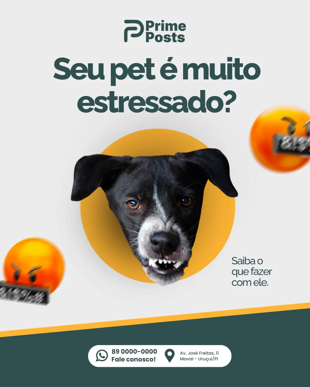 Seu pet é muito estressado?