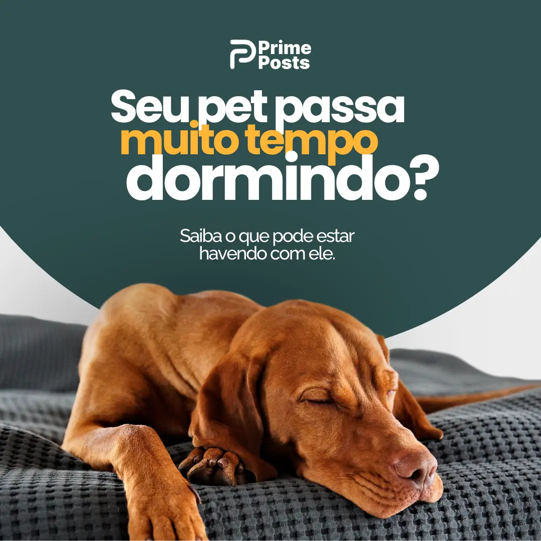 Seu pet passa muito tempo dormindo?