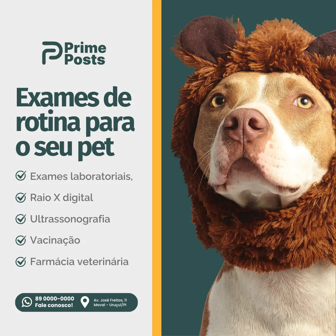 Exames de rotina para o seu pet